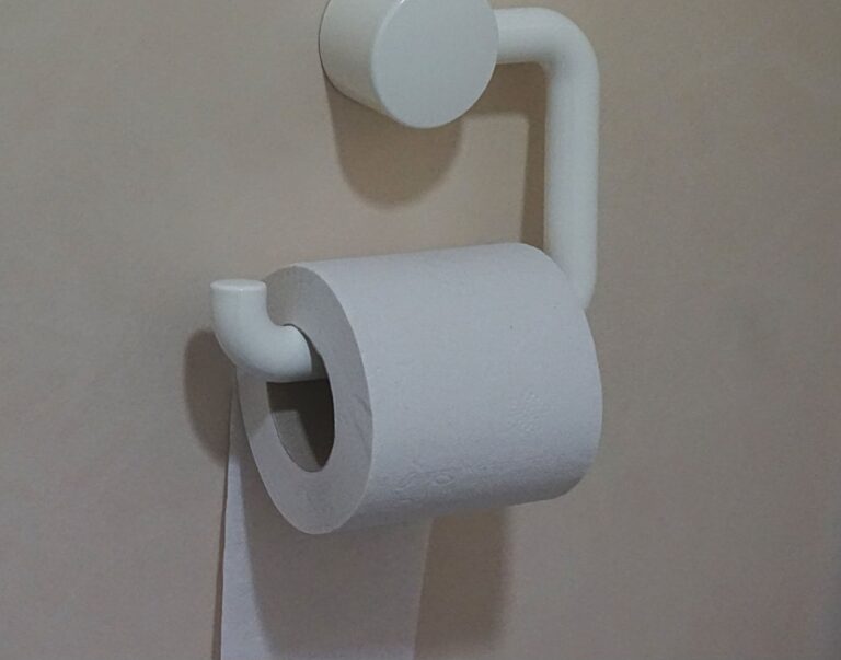 The Panic of an Empty Roll: When You Run Out of Toilet Paper Mid-Session